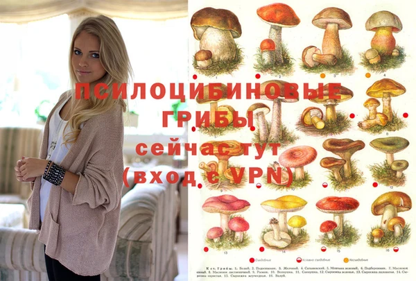 а пвп мука Абдулино