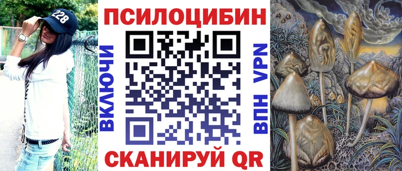купить наркотики сайты  Трубчевск  Псилоцибиновые грибы Psilocybe 