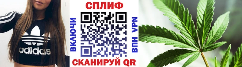 блэк спрут зеркало  Трубчевск  Бошки Шишки Bruce Banner 